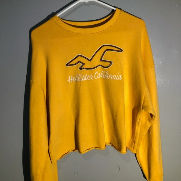 Hollister Sweaters - Hollister Cropped Sweater